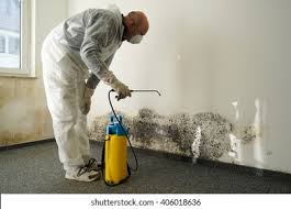 Best Mold Remediation for Vacation Homes  in Brandenburg, KY